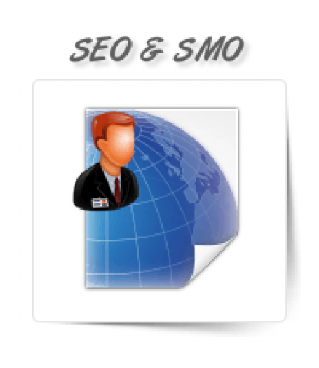 SEO & SMO Professionals